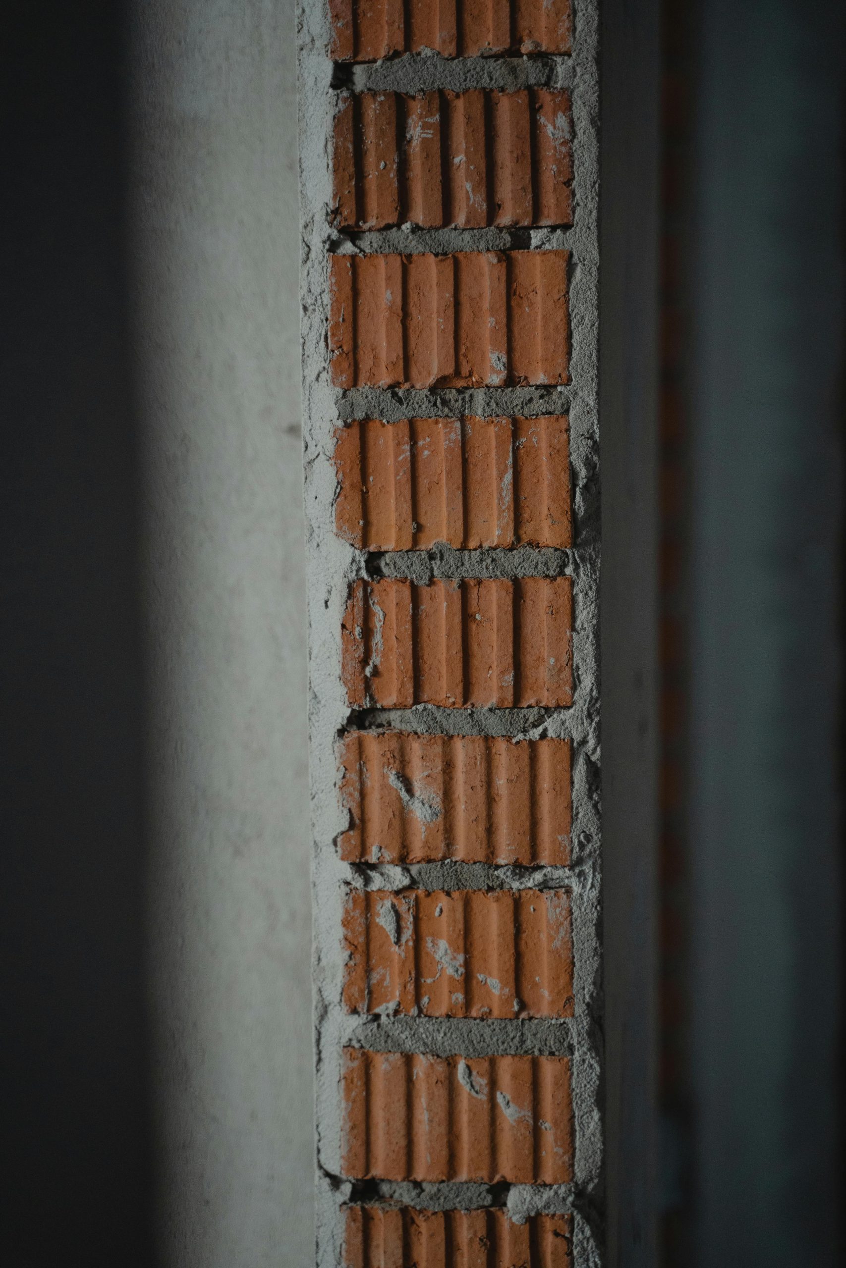 pexels-tima-miroshnichenko-6473984